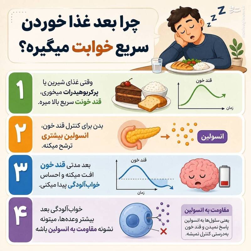 خواب آلودگی بعد از غذا