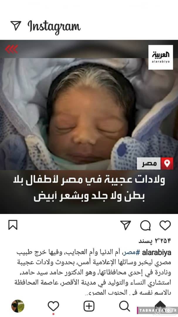 نوزاد