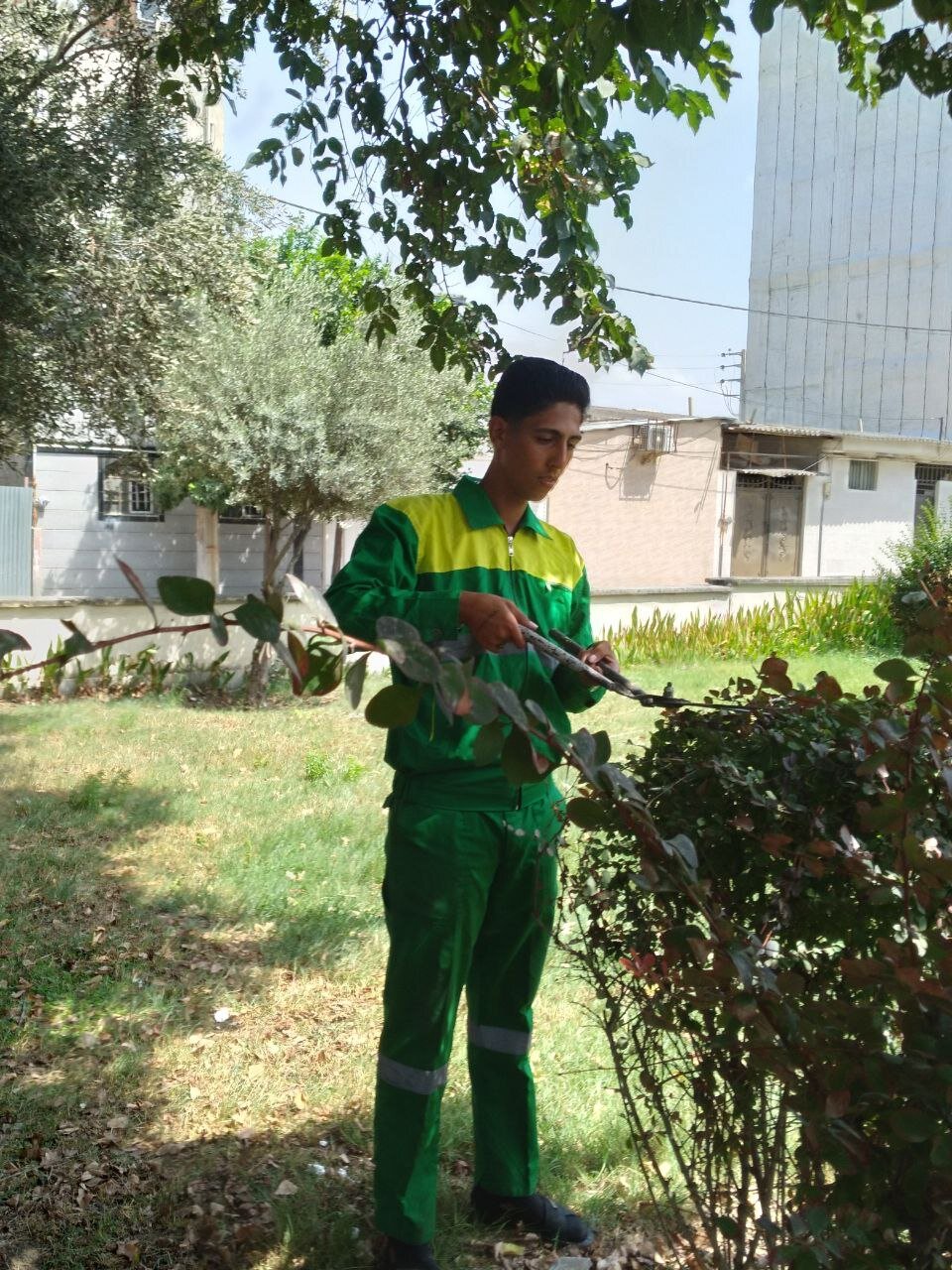 کارگر شهرداری