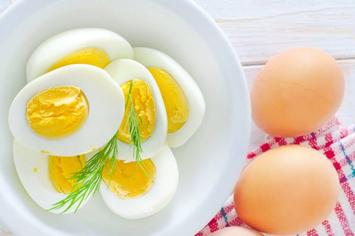 مصرف تخم مرغ نباید قطع شود