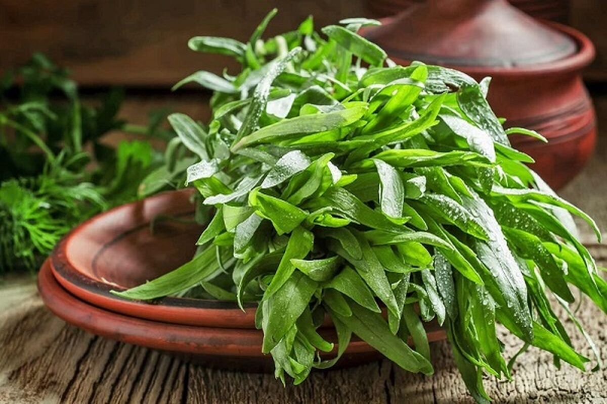 آشنایی با ارزش غذایی ترخون