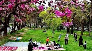 این دو کار را در روز سیزده بدر انجام ندهید