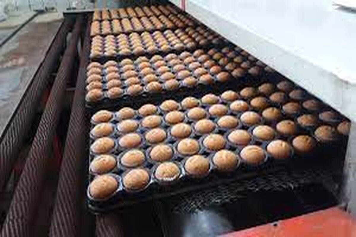 وعده یک شرکت معروف صنایع غذایی برای تولید خودرو به روز اروپایی