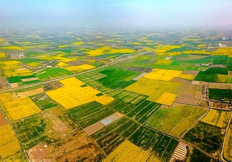 باند بزرگ کلاهبرداری املاک منهدم شد