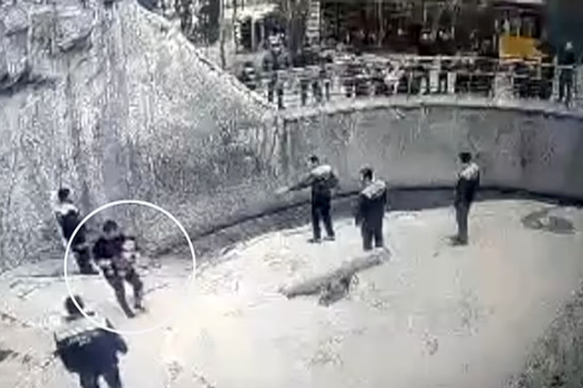 لحظه شوکه کننده پرت کردن دختر ۳ ساله به قفس خرس وحشی به دست مادرش