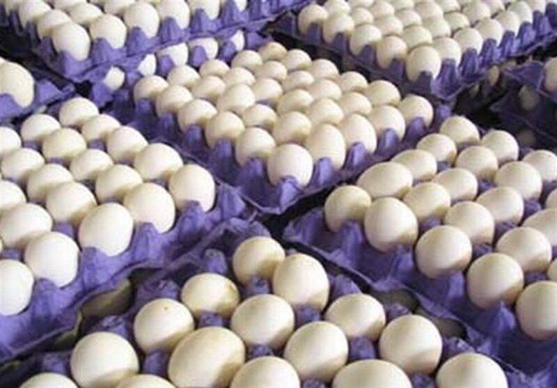 پودر سفیده تخم مرغ غوغا میکند