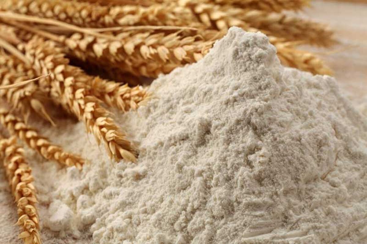 دلیل سر به فلک کشیدن ناگهان قیمت آرد مشخص شد