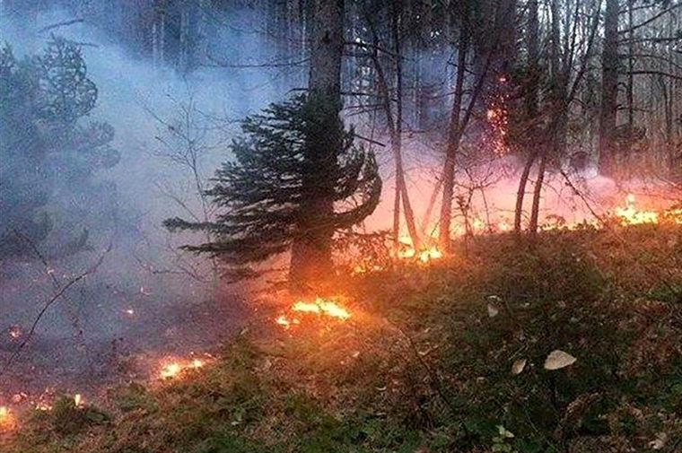 آتش‌ به جان جنگل‌های توسکستان گلستان افتاد