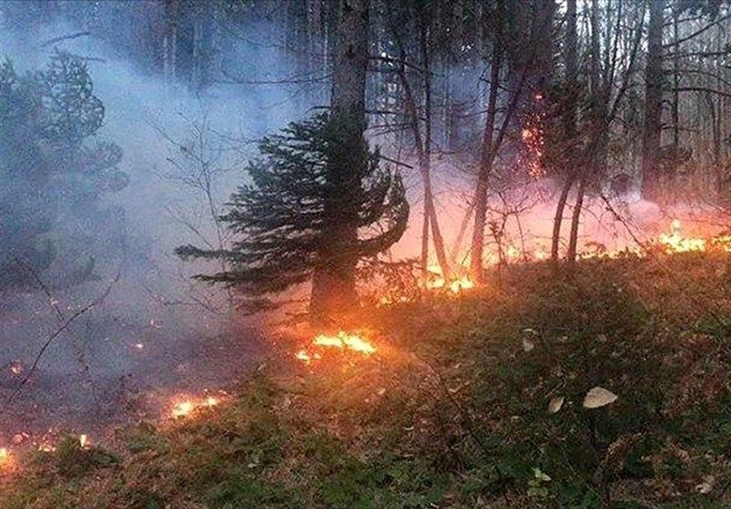 آتش‌ به جان جنگل‌های توسکستان گلستان افتاد