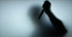 توریستی که به خاطر ۱۰۰ دلار آدم کشت!