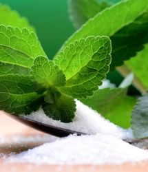 پشت پرده کشت گیاه «شقایق الیفرا» /ماجرا چیست؟