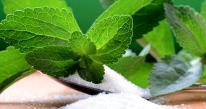 پشت پرده کشت گیاه «شقایق الیفرا» /ماجرا چیست؟