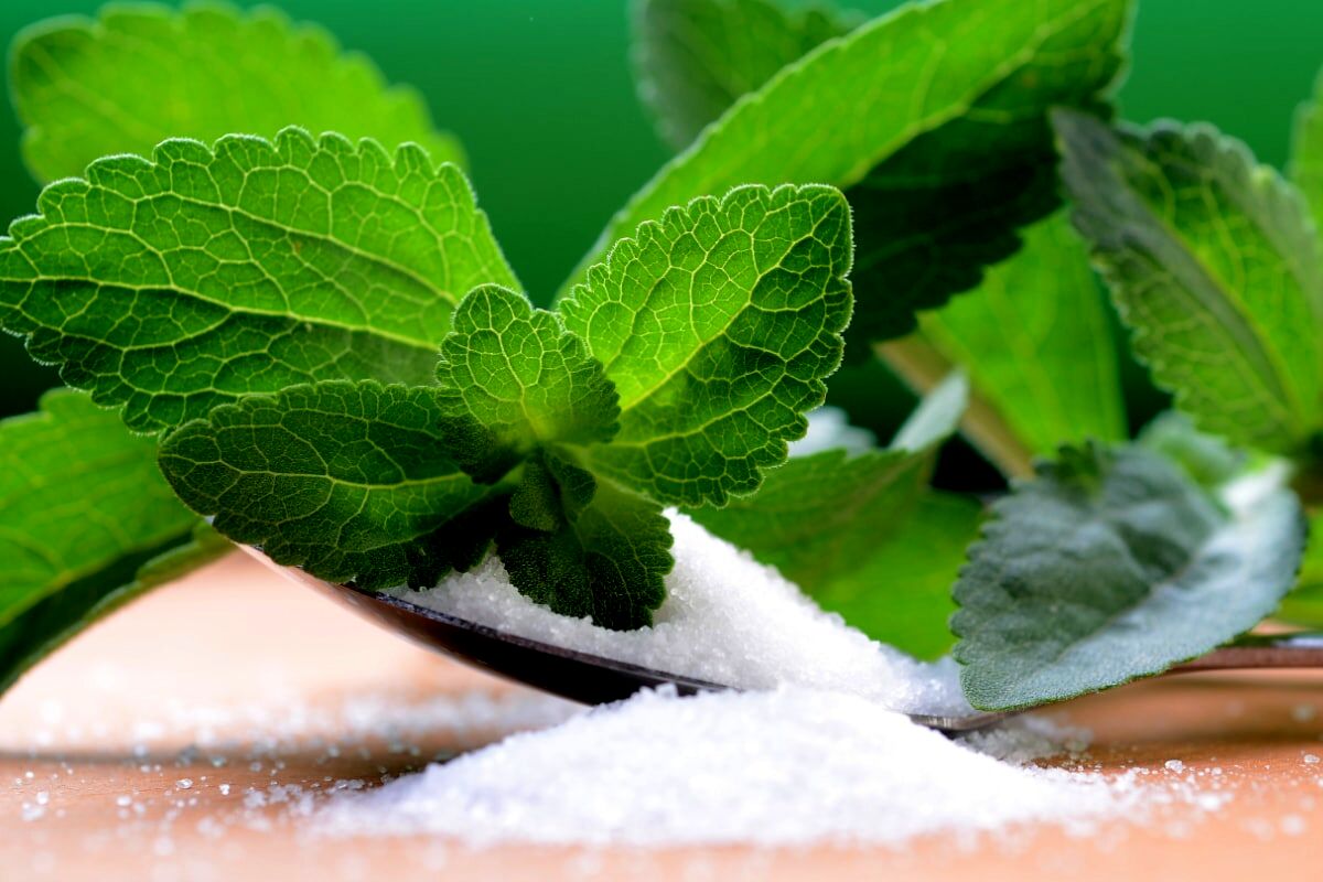 خواص درمانی گیاه استویا در طب سنتی 