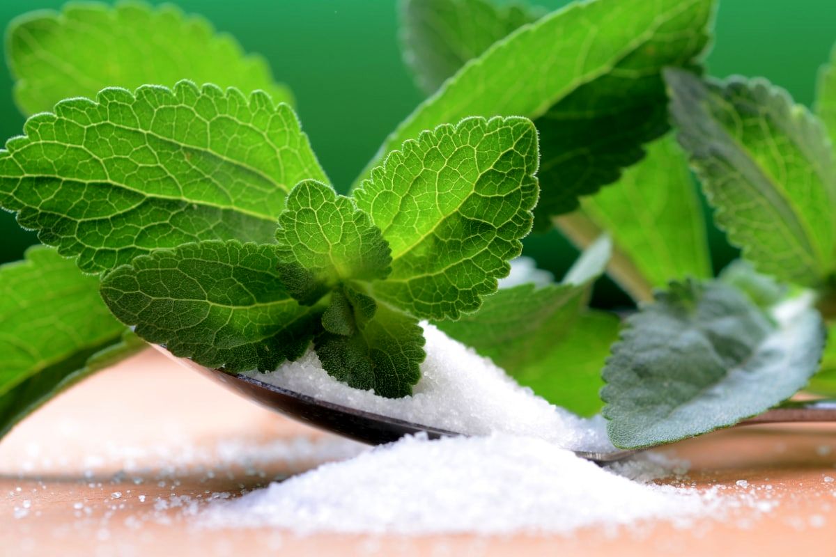 خواص درمانی گیاه استویا در طب سنتی