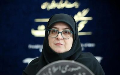 سخنگوی دولت: بروجردی نقش خود را در عرصه‌های مختلف به خوبی ایفا کرد