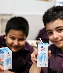 شیر در مدارس چهار استان توزیع می‌شود