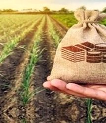 پوشش بیمه جدید برای این گروه از افراد همراه با جزییات 