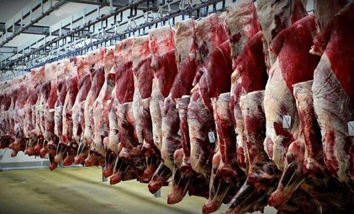 توزیع گوشت قرمز منجمد در سامانه ستکاوا