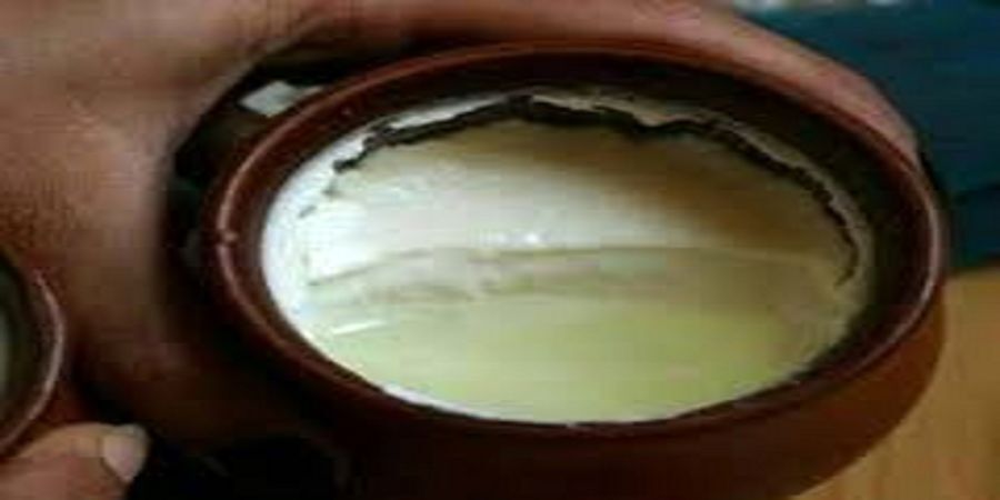 معجزه مصرف ماست با این ادویه در چربی‌سوزی سریع
