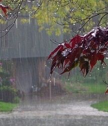 کدام مناطق کشور بارانی می‌شوند؟