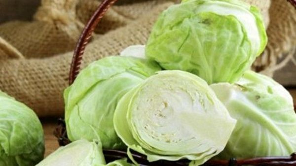 مهم‌ترین خواص کلم سفید