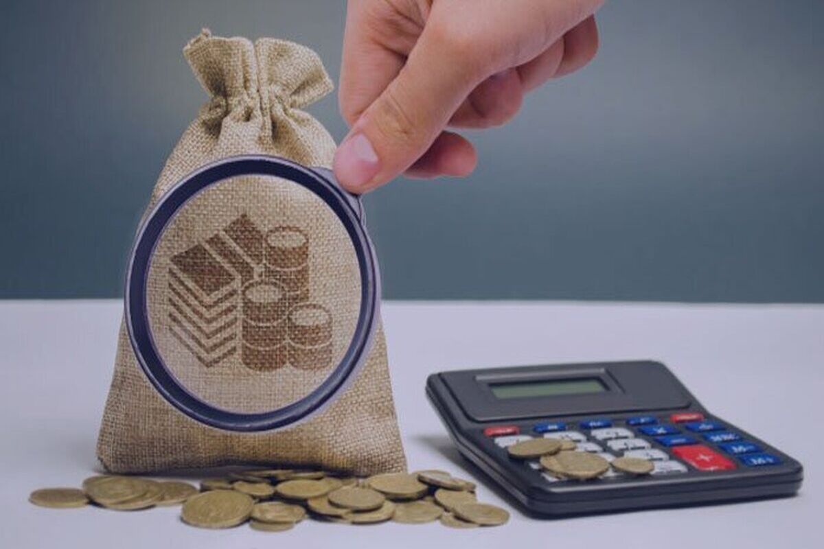 تصویب قانونی جدید برای بدهکاران مالیاتی