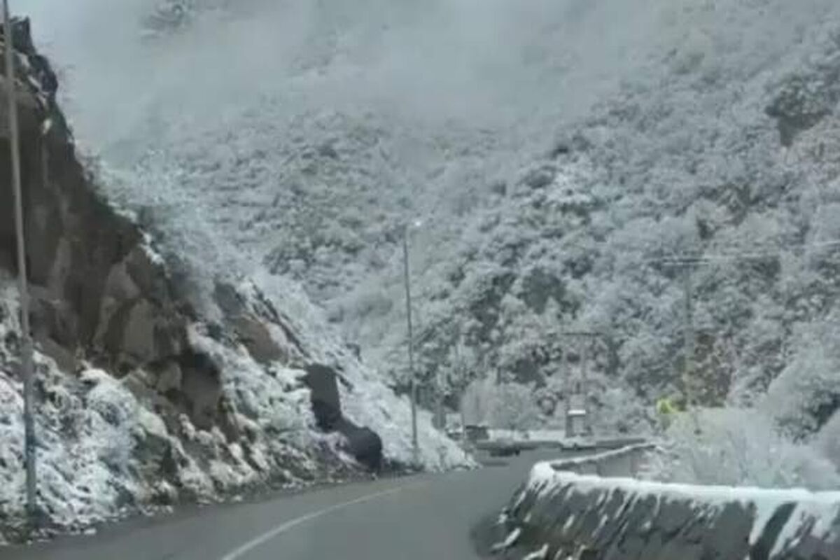 ویدئوی زیبا از طبیعت برفی جاده چالوس