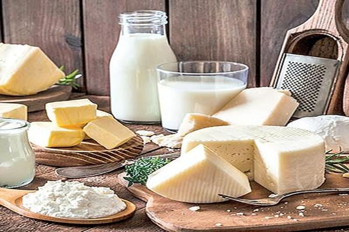 تخفیف ۲۰درصدی لبنیات در میادین تره‌بار تهران