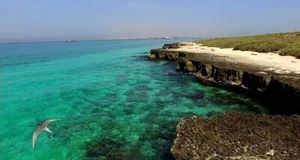 اقامت در جزیره مارها، ممنوع!