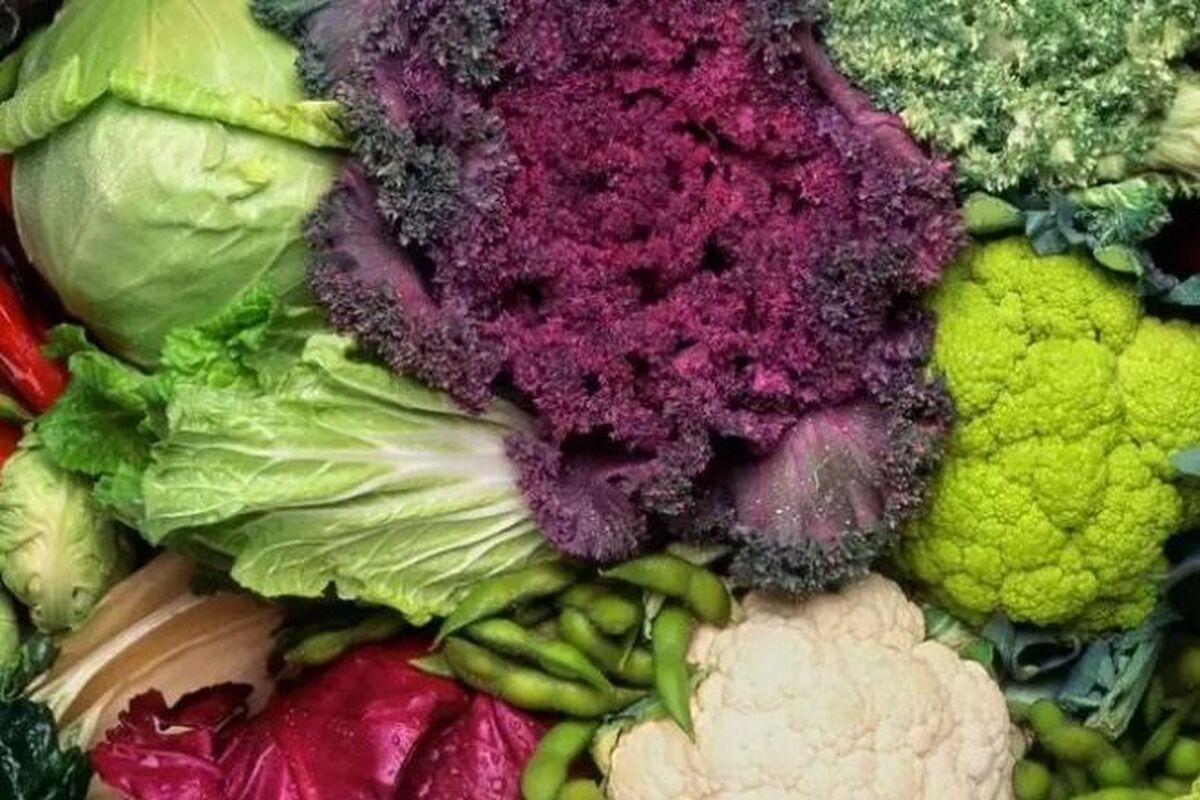 روش از بین بردن باکتری سبزیجات زمستانی