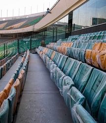 دقیقا کدام ورزش مغز را جوان تر می‌کند؟