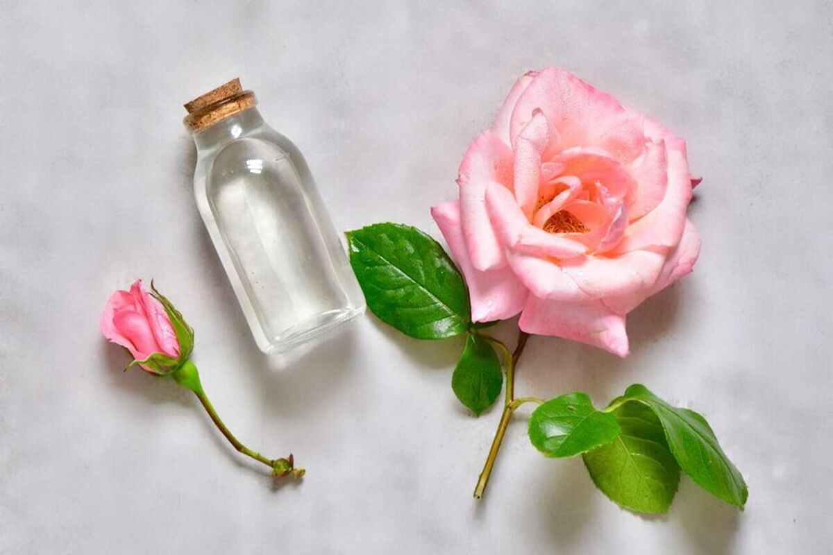 آشنایی با 2 نوشیدنی معجزه‌آسا برای سالمندان