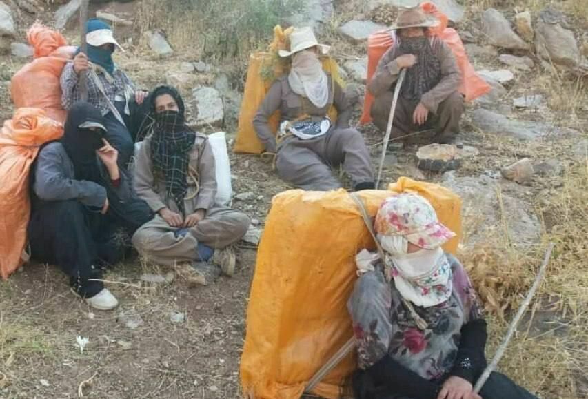 خبر مهم درباره کشته شدن آسو کریمی کولبر پاوه ای با تیراندازی هنگ مرزی