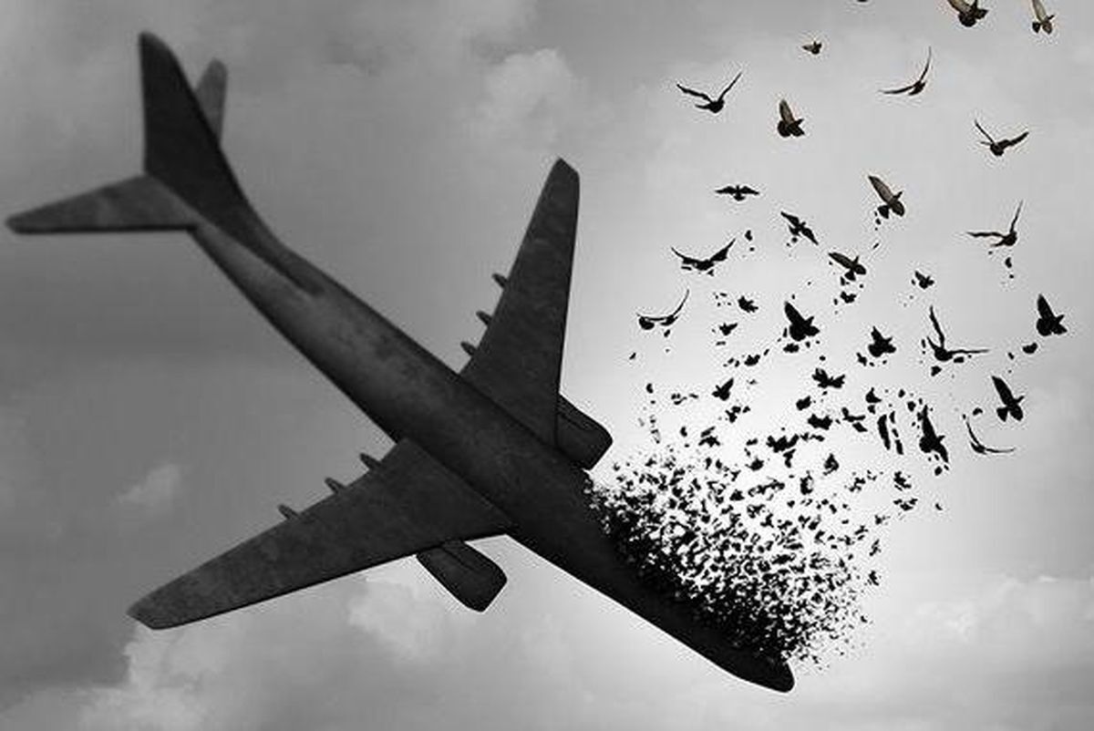 ناگفته‌های والدین دو قربانی حادثه هواپیمای اوکراینی /پرونده در چه مرحله ای به سر میبرد؟