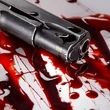 برادرکشی با شلیک گلوله/ تماس مقتول با پلیس قبل از جنایت