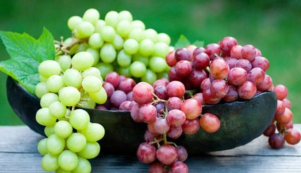 این میوه خوشمزه مانند ضد آفتاب عمل می کند