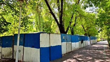 شورای شهر جلوی ساخت و ساز در پارک لاله را گرفت/ جزئیات تکمیلی