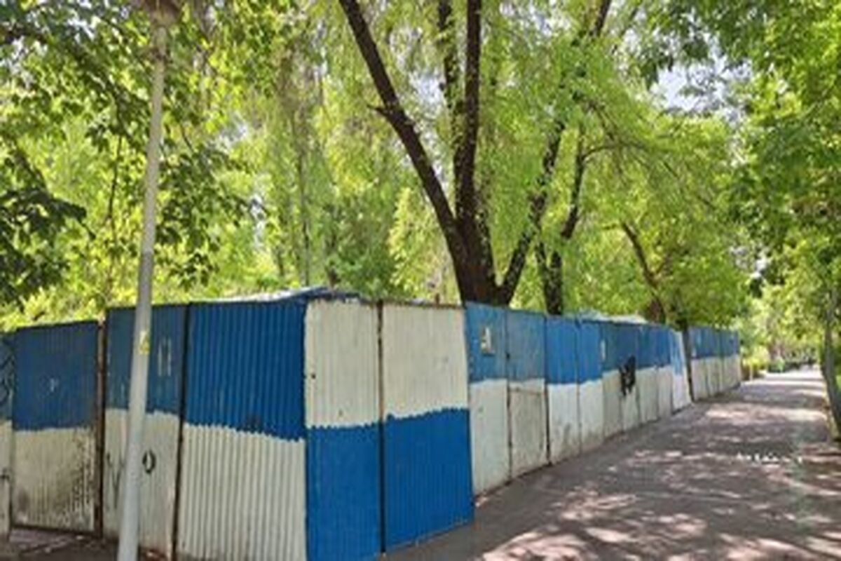 شورای شهر جلوی ساخت و ساز در پارک لاله را گرفت/ جزئیات تکمیلی