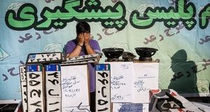 ماجرای دزدی‌های زوج جوان با پلاک تقلبی و سگ