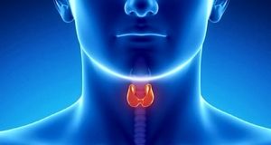 تیروئید شما را اذیت می کند این ۲۰ ماده غذایی مخصوص شماست