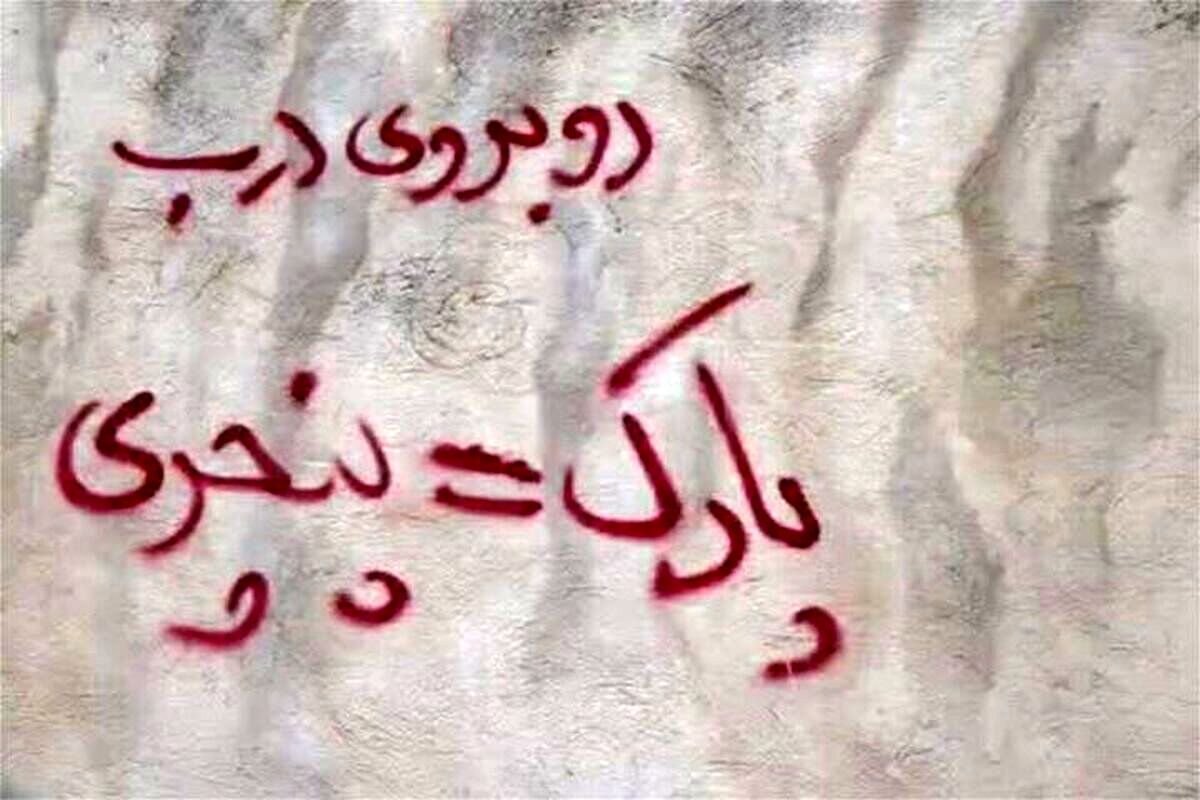 مجازات باورنکردنی عبارت «پارک مساوی با پنجری»