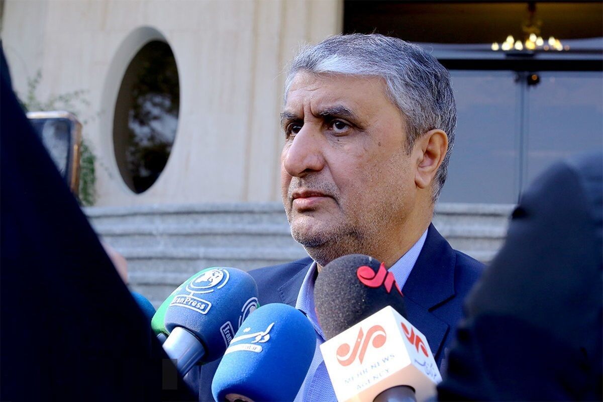 
رئیس سازمان انرژی اتمی: ورود هیچ بازرسی را ممنوع نکردیم
