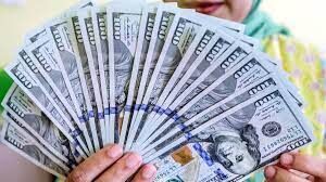 قیمت دلار، یورو و درهم/ صرافی ملی امروز جمعه ۱۹ اسفند باز است