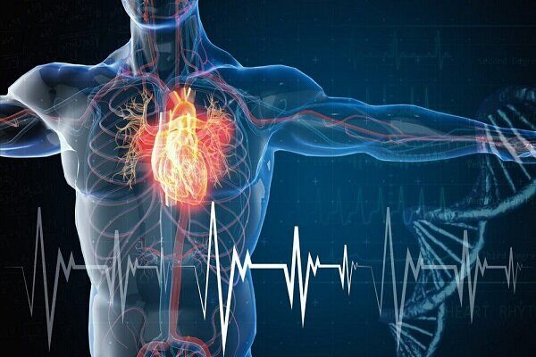 تاثیر کم‌نظیری که خواب بر قلب دارد