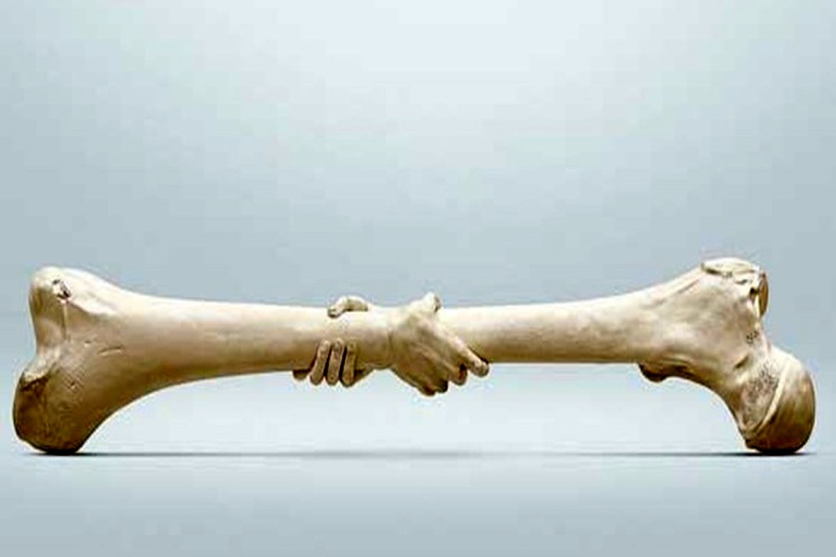 با این غذاها پوکی استخوان را برطرف کنید