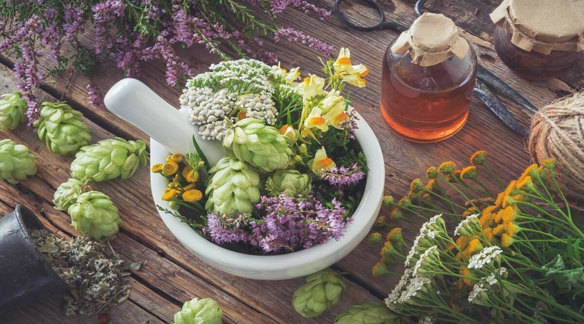 با داروهای گیاهی مجوزدار کرونا آشنا شوید