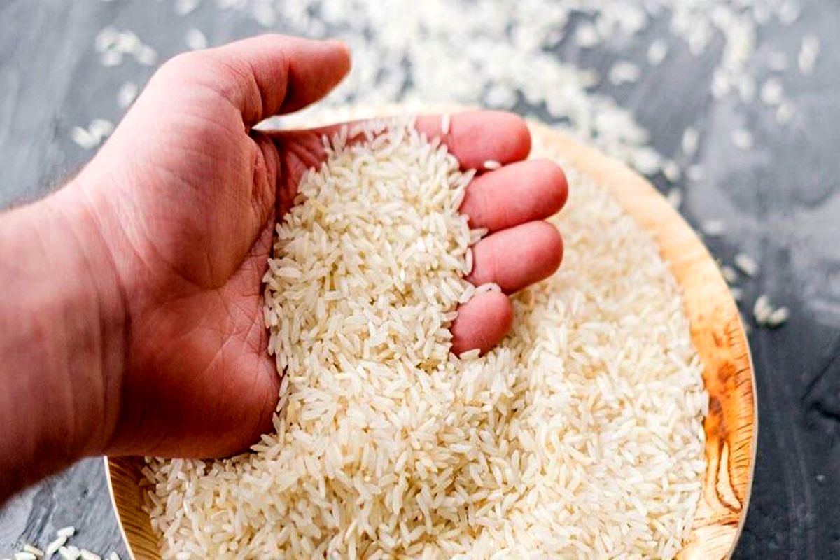 کاهش قیمت برنج ایرانی در راه است؟
