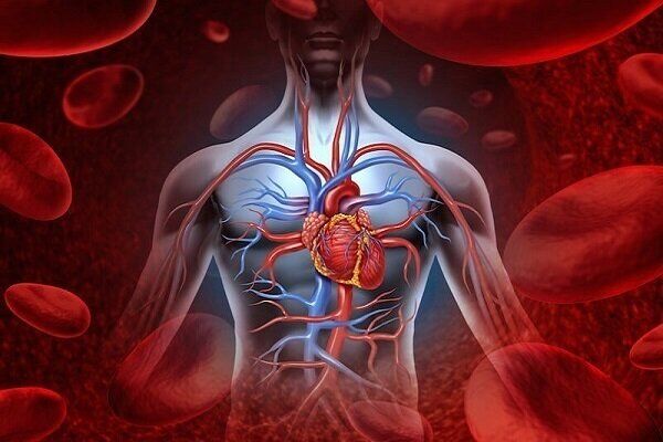 دلیل تپش قلب گرفتن بعد از بیدارشدن افراد