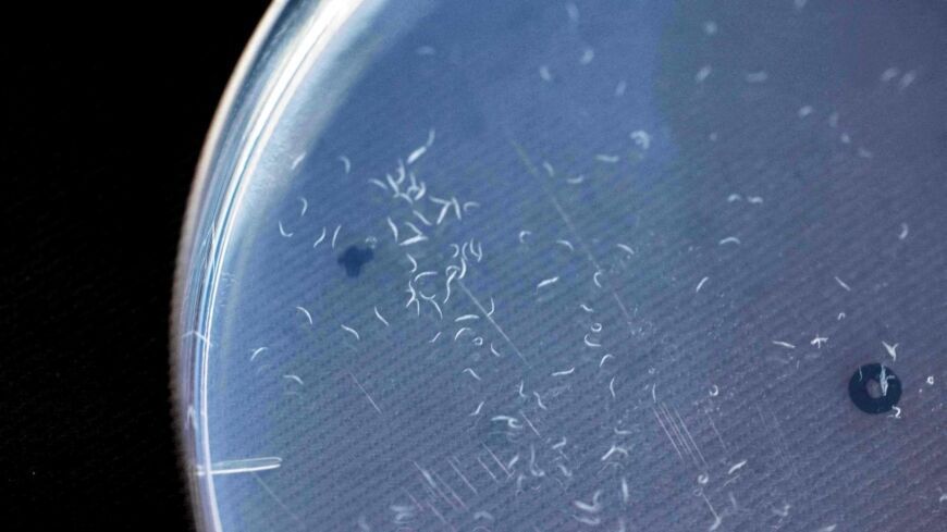 آشنایی با تشخیص سرطان با استفاده از کِرم