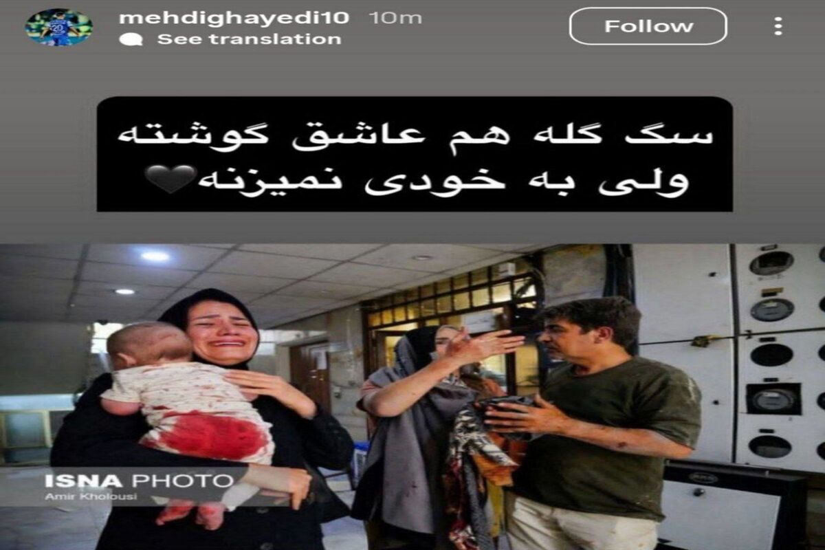 استوری معنادار قائدی: سگه گله به خودی نمی زنه!